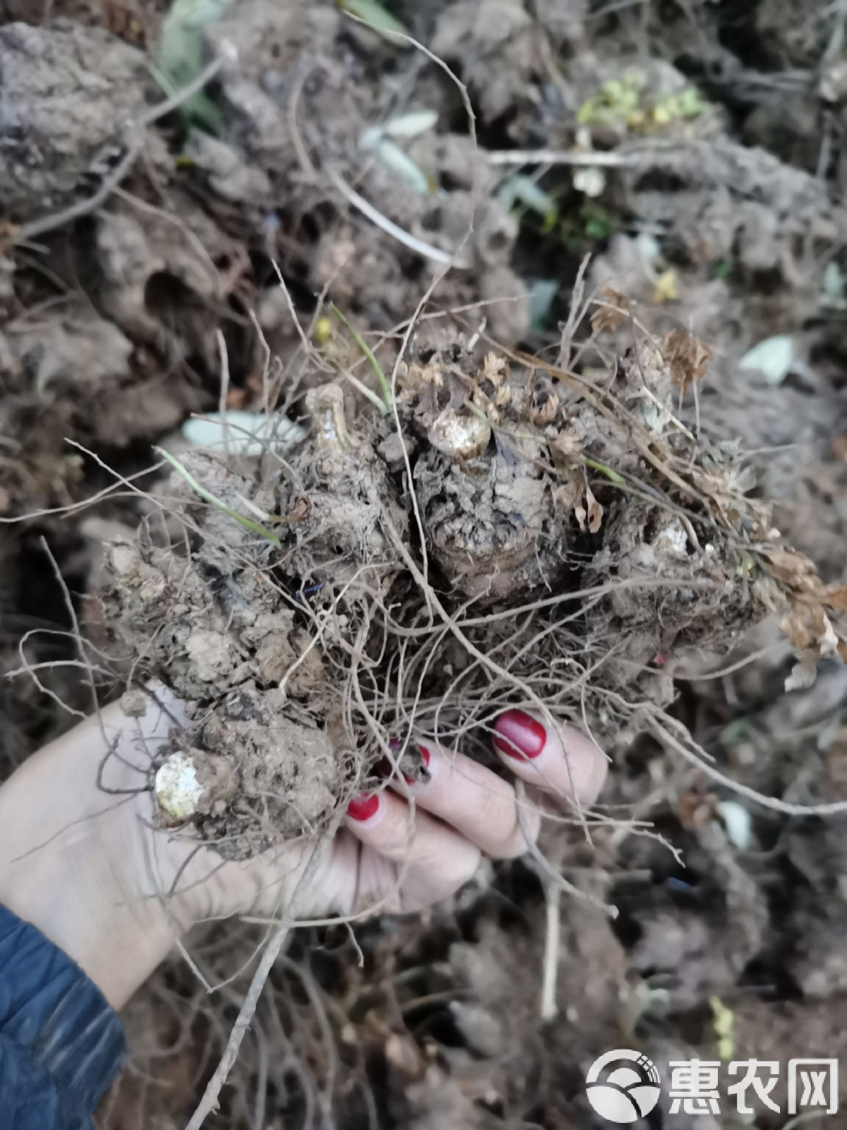 ~?E芎(e胸美女图片)