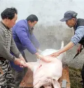 kaiyun-出H6~伝H%猪?}S的简单介绍